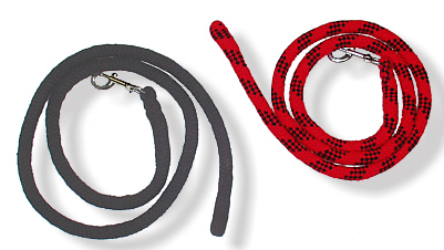 leashes for Biiiig Doggies